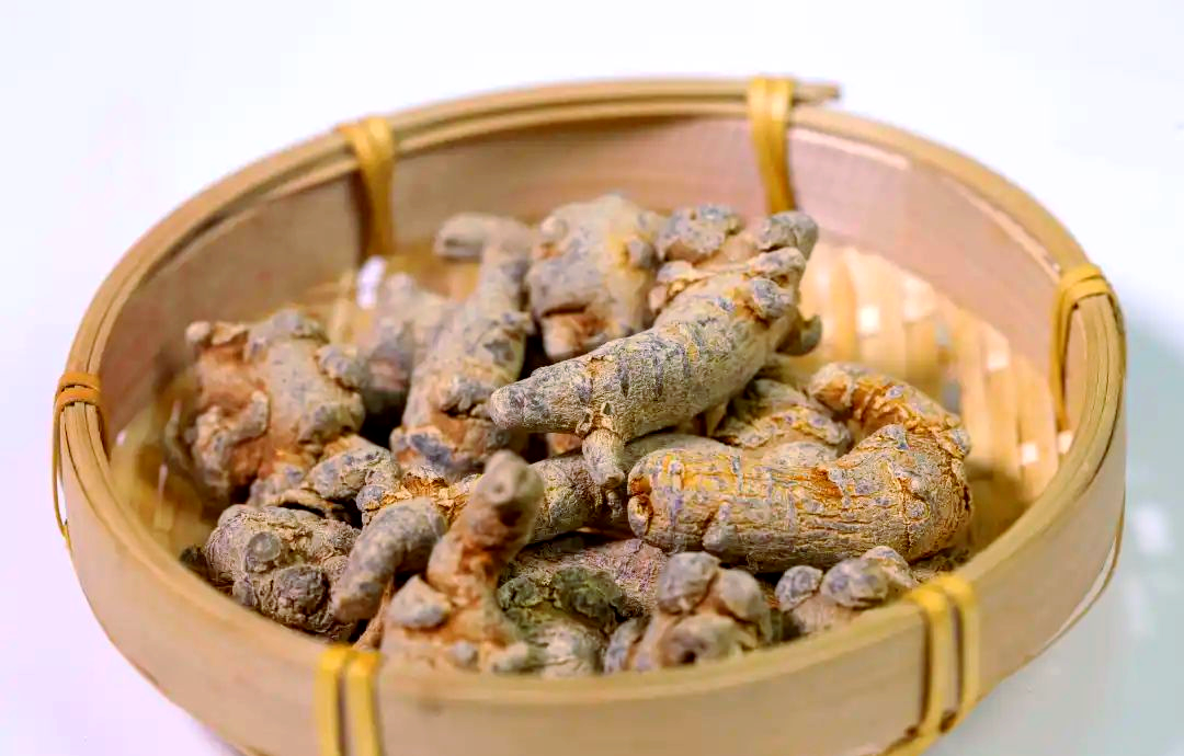 Ảnh bìa: Củ tam thất: phân loại, liều dùng và ai nên tránh